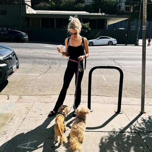 EM 295fb08d8201aa80020