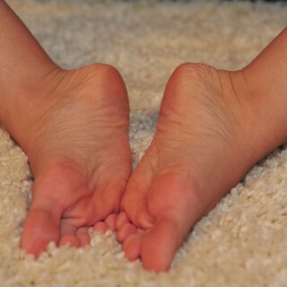 Eagle_039c3220267e7f73cb5