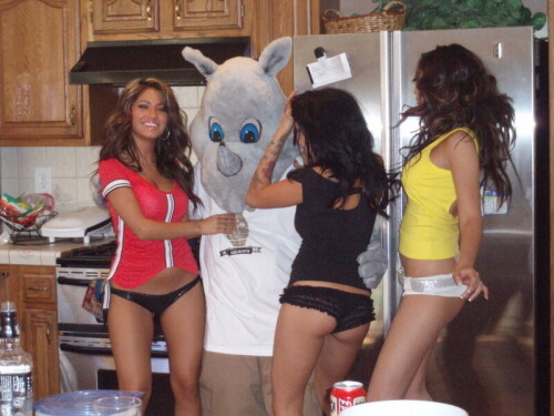 EckoShoot017ed899e453b70ef00