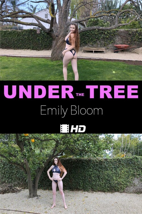 Emily-Bloom---Under-the-Tree---coverca8327e47db622ba