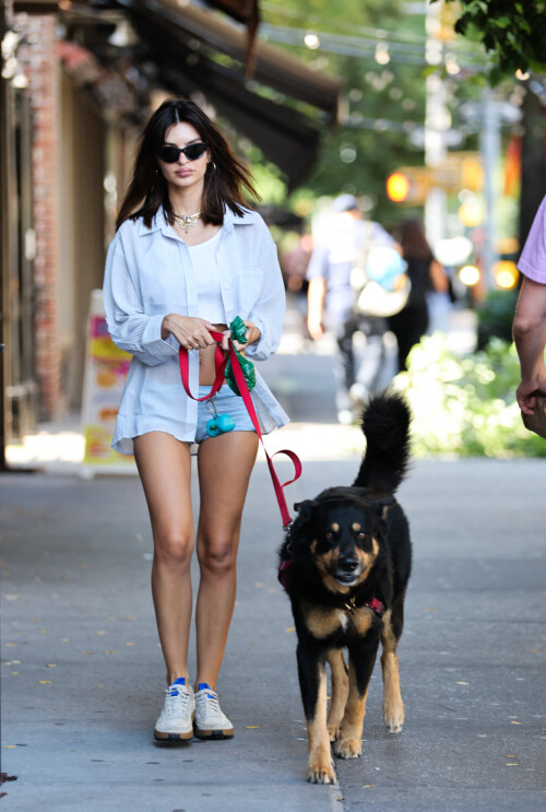Emily Ratajkowski out in New York 07 16 2024 6 503e8ae657186e75