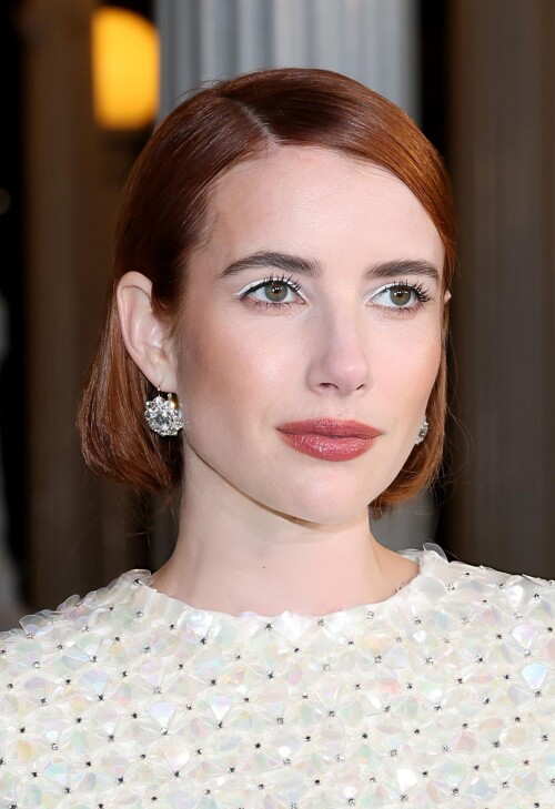 Emma Roberts attends the 2025 LACMA ArtFilm Gala 145a91dd511bc94547