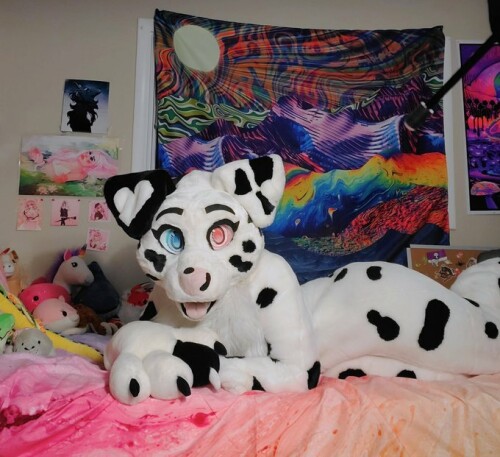 Exvcz7MWUAgkUenbf3ad29554f86573