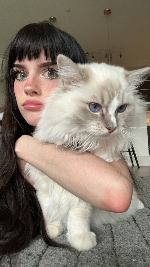 F bddJVXkAAHrgp1cc12c55625ed753