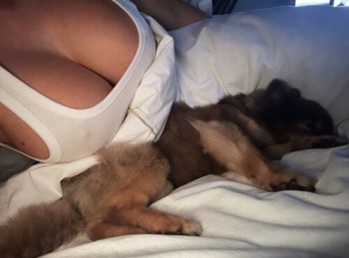 F7VPp SXIAA0 nk4305011d28bb9ed9