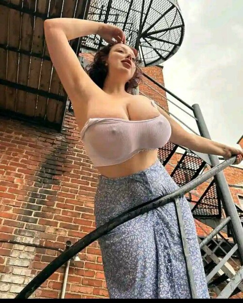 FB IMG 169225286434752e4ce294003f1fb