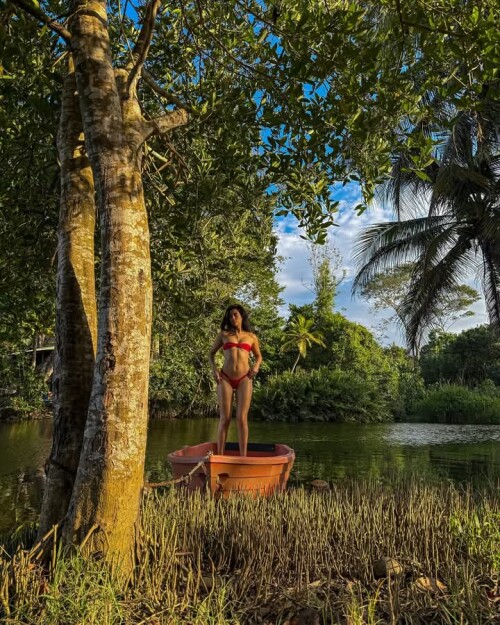 FB IMG 1740505019772d0b0297927e16ce3