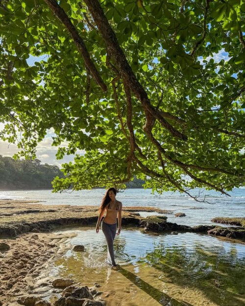 FB IMG 174293770445310c168cca715e31c