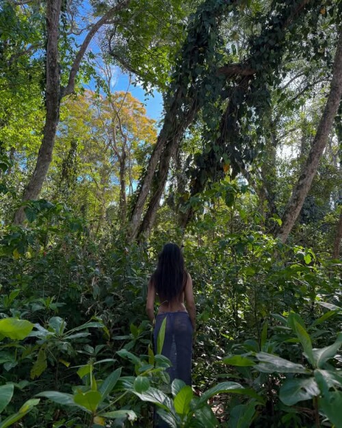 FB IMG 1742937713733de86cd69687a7747