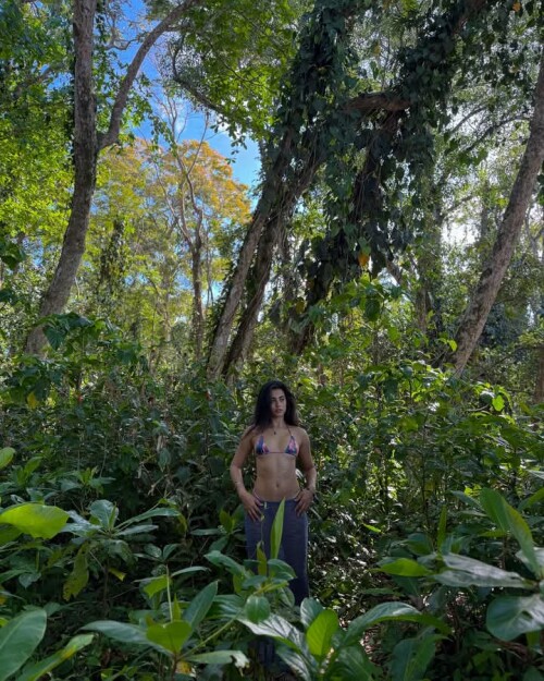 FB IMG 1742937732840af3b18e863fe4520