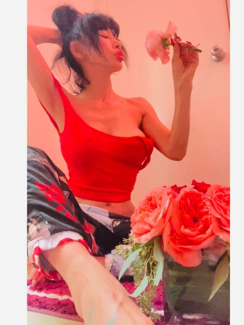 FB IMG 17584394577844675a4391162925e