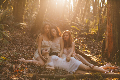 Forest Day1 4938f8c823f742bcc1