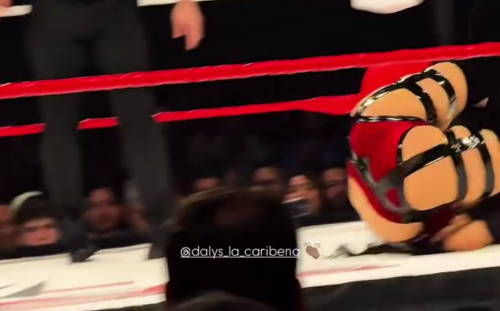 Frame-00018f1f6b4924a95bd42