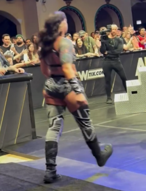 Frame-00337495ded0d2a02d8d8