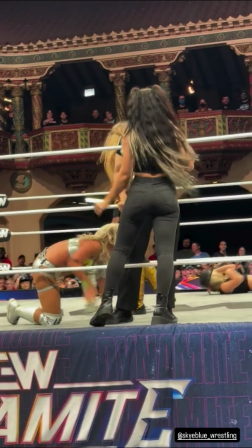 Frame-005210a486344a5dc0a08