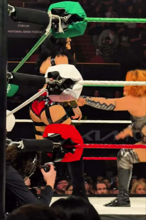 Frame-011617876401294d3e562