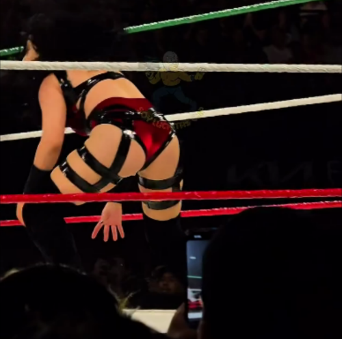 Frame-019961428a5083544d135