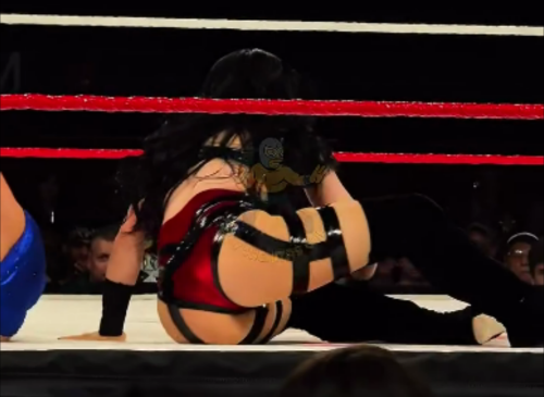 Frame-04240b3c0a347c947536d