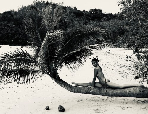 Freyab064949146c1d86e