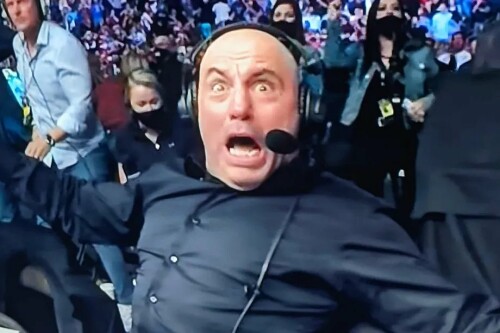 Fz1Zw7FWcAEvLZS600067adc58f04ff