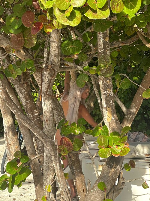 GE NpBVacAAcmfJfc02e9be8a6ccf3b