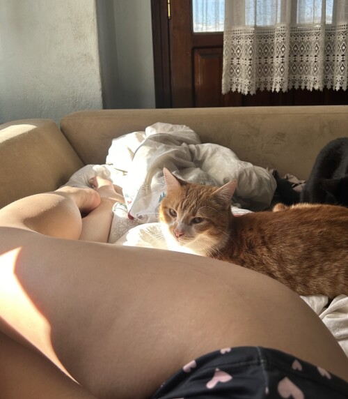 GFj20EGXQAAQuCg499afe4b8866e2fa