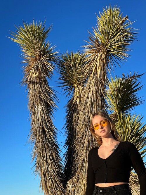 GGJ8JHQboAAgyiWc9bab9fbf00b35f4