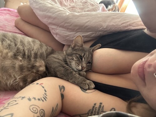 GISnHY6XoAAYXVB45236cd3dfd34799