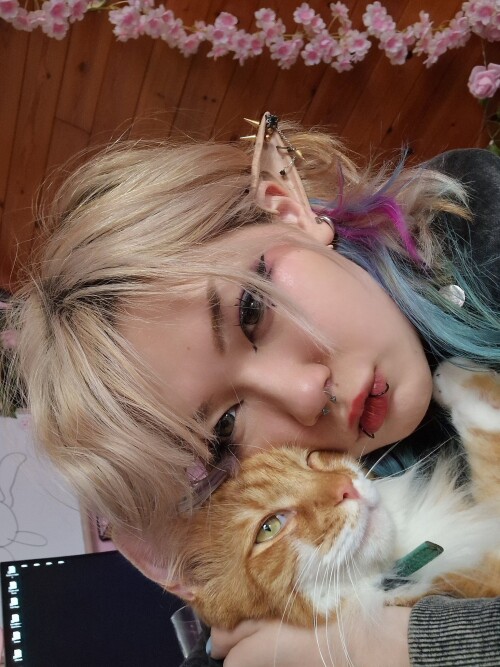 GNY3GQPWwAIii294de8774c11ee0a3f