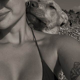 GVlDkj6XEAAOn-B3f12b7c159ba709b