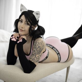 Gamer-Kitty-29ea27b39cb57476bf8c647dfbd6234268