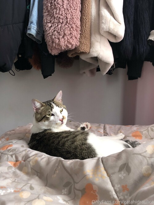 GatahiDraulica OnlyFans 154