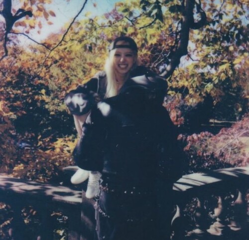 GeF013wW0AAz2iCb78e1e3f0045b6ec