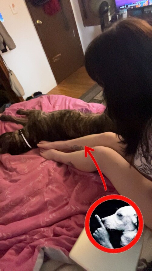 Gm60vUSbIAA4 Refb38da5cd36bf078