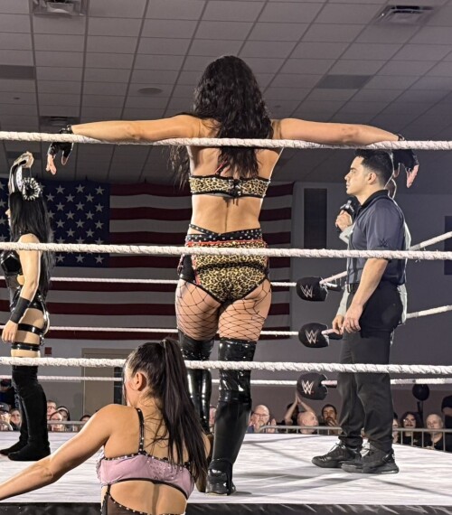 Gnu7IG2b0AADCEy33356de48f61b1a4