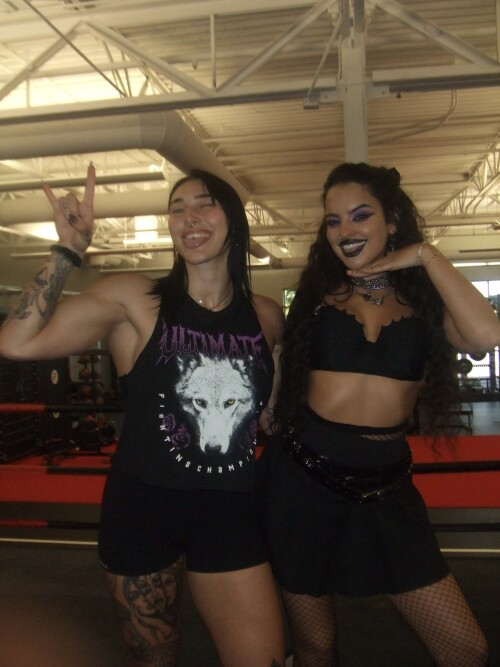 Go3mZtUbcAAd cc6141249e69ad79ac