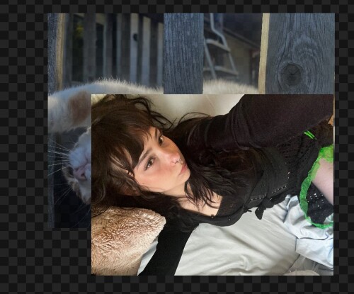 GpQZ2mRbYAAs0Pdfac8fb01e3dca698