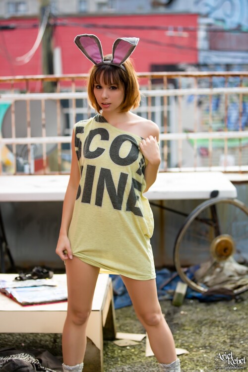 GrungeBunny 1 lg72e68715be0a5626