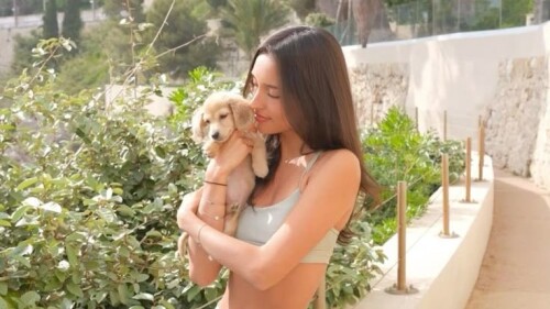 GuErnHBW4AEUu9s0f1db056d6fbc0bb