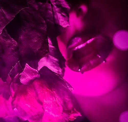 GwrLGRYWUAA60BJf83f7f8d38b64b0f