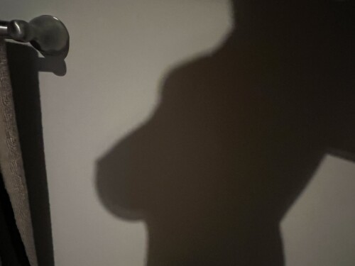 GyCP3qrXsAAApSqb877df8490c706db