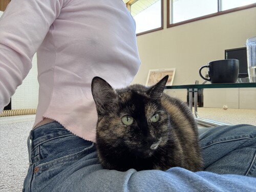 GzXvQFaWEAArpCB9e08f11b7379e6b3