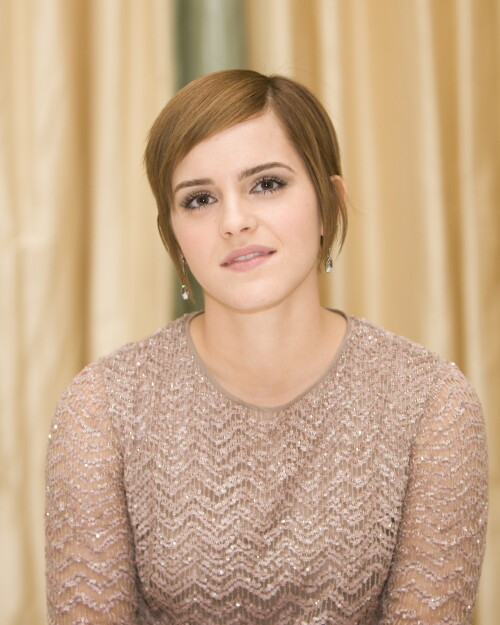 HARRY POTTER AND THE DEATHLY HALLOWS PART 2 PRESS CONFERENCE 18 762011