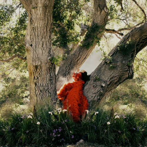 HaileeSteinfeldAfterlifeimage