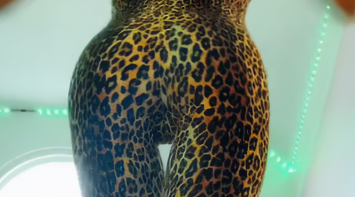 HaleyGoss181f9b17f345e603c