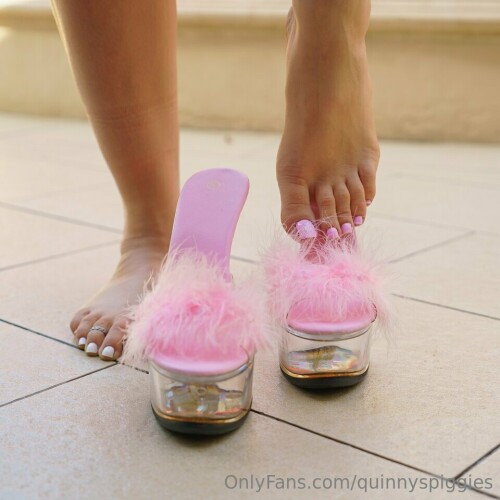 Hanging out by the p...iggies3ba8533f5841800b