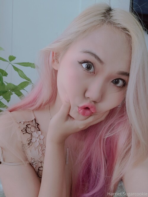 HarrietSugarcookie 163308b9537b7d80a6f8