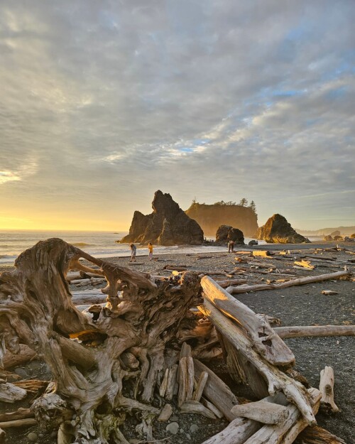 IM US 2024 100e554ea2f6961008