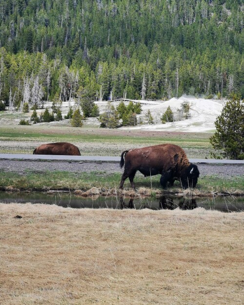 IM US 2024 130905997b955004d8