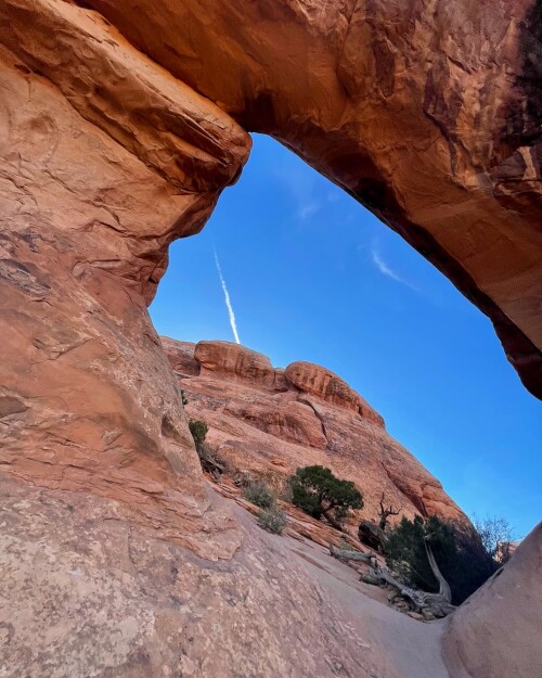 IM US 2024 24f1bb7dfbe338e38